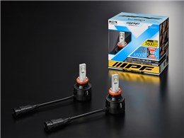 301HLB [LED 6500K H11]