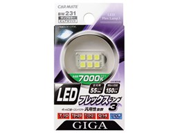 BW231 [LED zCg 7000K T10]