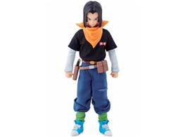 Dimension of DRAGONBALL ll17