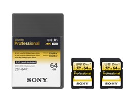 2SF-64P [64GB]