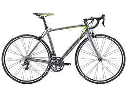 SCULTURA 400 2017Nf [AgV[g]