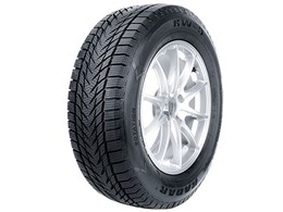 RW 5 225/60R17 103H XL