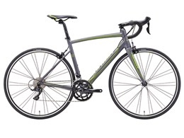 RIDE 200 2017�N���f�� [�}�b�g�A���g���V�[�g]