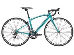 RIDE 210 2017�N���f�� [�V���N �y�g���u���[]