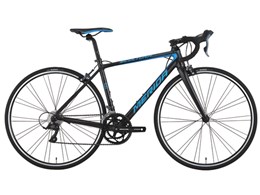 SCULTURA 100 2017Nf [ubN/u[]