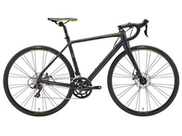 SCULTURA DISC 200 2017Nf [}bg^bNubN/O[]