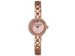 �G�^�[�i���N���X�^�� ET21PP