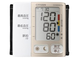 CHWE617J