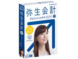 弥生会計 プロフェッショナル」の人気商品一覧 | 安い商品を通販