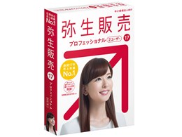 퐶̔ 17 vtFbVi 2[U[ ʏ <Ŗ@Ή>