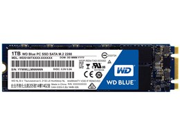 WD Blue WDS100T1B0B