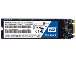 WD Blue WDS500G1B0B