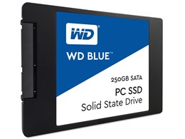 WD Blue WDS250G1B0A