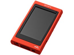 CKM-NWA30 (R) [���b�h]