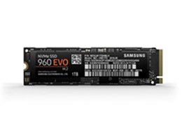 960 EVO M.2 MZ-V6E1T0B/IT