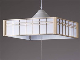 AGLED SS-58001D