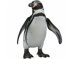 �\�t�r�g�C�{�b�N�X011 �y���M�� �t���{���g�y���M��