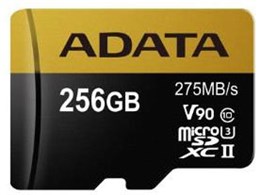 AUSDX256GUII3CL10-C [256GB]