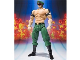 S.H.tBMA[c ubPJr. ORIGINAL COLOR EDITION