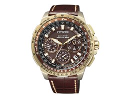 �v���}�X�^�[ SKY-�G�R�E�h���C�u�d�g���v F900 CC9023-13X