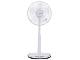 YT-B3017V-W [zCg]
