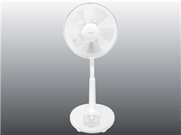 REED RD-BM3001W [zCg]