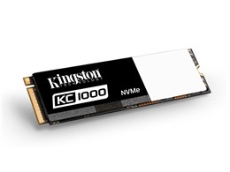 KC1000 NVMe PCIe SSD SKC1000/240G