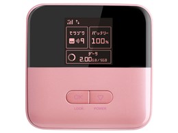Pocket WiFi 601ZT [sN]