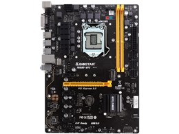 biostar tb250-btc」の人気商品一覧 | 安い商品を通販サイトから