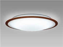 LIFELED'S HLDZD12106