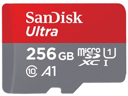 SDSQUAR-256G-GN6MA [256GB]
