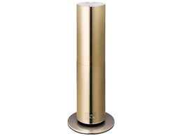 d-design DHBK-217CL-GD [S[h]