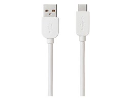 CP-AC100W [1m]