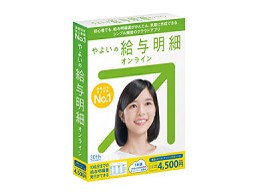 悢̋^ IC ʏ
