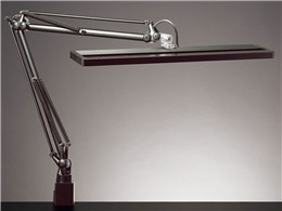 Z-LIGHT Z-81NB [ubN]