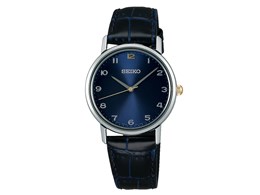 ZCR[ ZNV 2017 NX}X胂f SCXP089