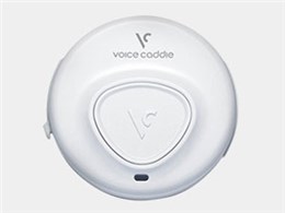 Voice Caddie VC170