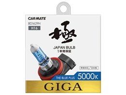 �M�K BD1629N [�n���Q�� �z���C�g 5000K H16]