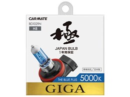 �M�K BD1029N [�n���Q�� �z���C�g 5000K H8]