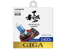 �M�K BD1028N [�n���Q�� �z���C�g 5400K H8]