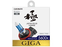 �M�K BD1027N [�n���Q�� �z���C�g 5600K H8]