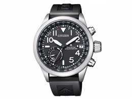 �v���}�X�^�[ LAND-�G�R�E�h���C�u�d�g���v F150 CC3060-10E