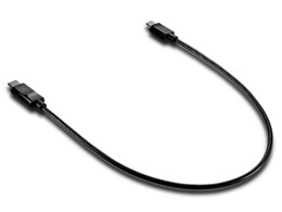 Astell&Kern PEE12-USBOTG-CB [0.4m]
