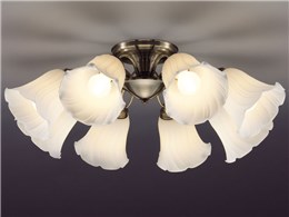 CiruelaIII CD-4294-L