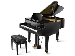 Roland Piano Digital GP609-PES [hʉohdグ]