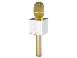 GP-BTDMIC/G [S[h]