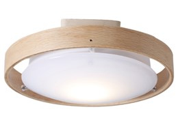 Another Garden DOT LED 60 ACE-151LNA [�i�`������]