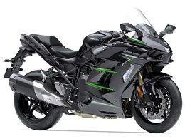 Ninja H2フェザージグ　ジグヘッドタイプ　ウェイトアップロングタイプ Ninja H2フェザージグ ジグヘッドタイプ ウェイトアップロング