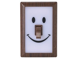 X}CXCb`LEDCg EbfB[ PEVS1050BR [uE]