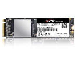 XPG SX6000 ASX6000NP-256GT-C